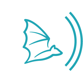 Bat Conservation International_logo.png