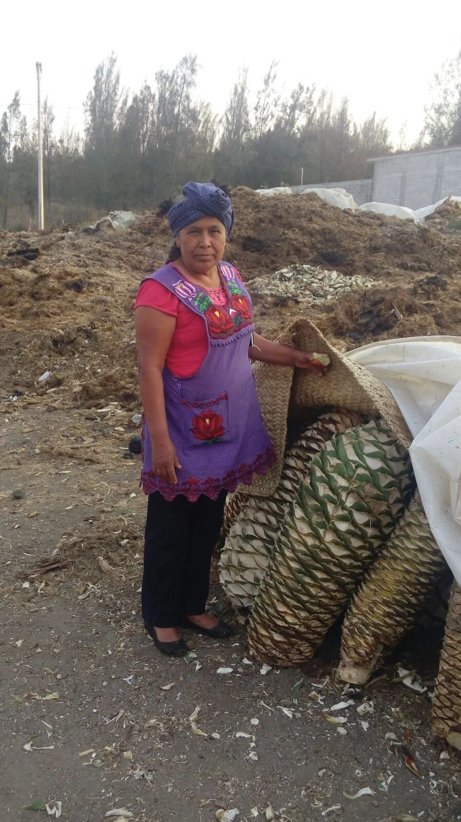 Berta Vasquez (Copy)