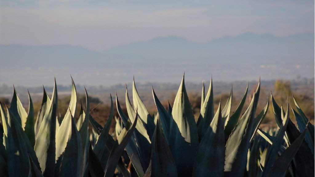 Educational Tasting at Bar Crisol: Featuring NETA & PM Spirit
