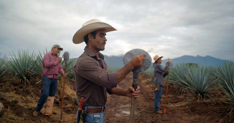 Children of Agave Film Screening
