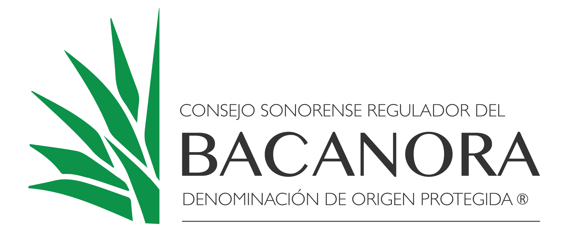 bacanora_full_color.png