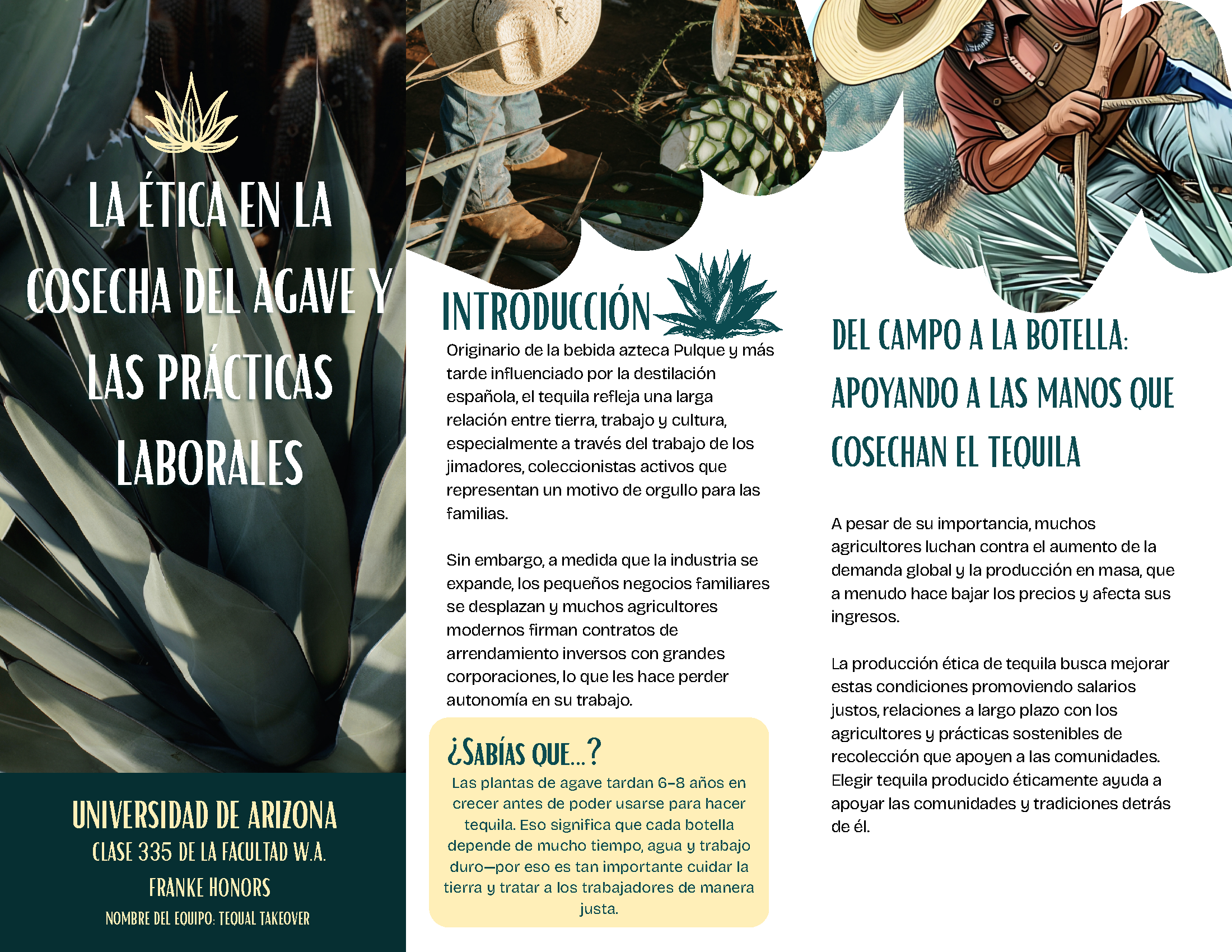 The Ethics of Agave Harvesting and Labor Practices_Spanish & English_2026_Page_3.png
