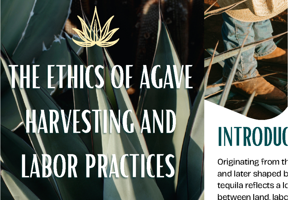 The Ethics of Agave Harvesting and Labor Practices