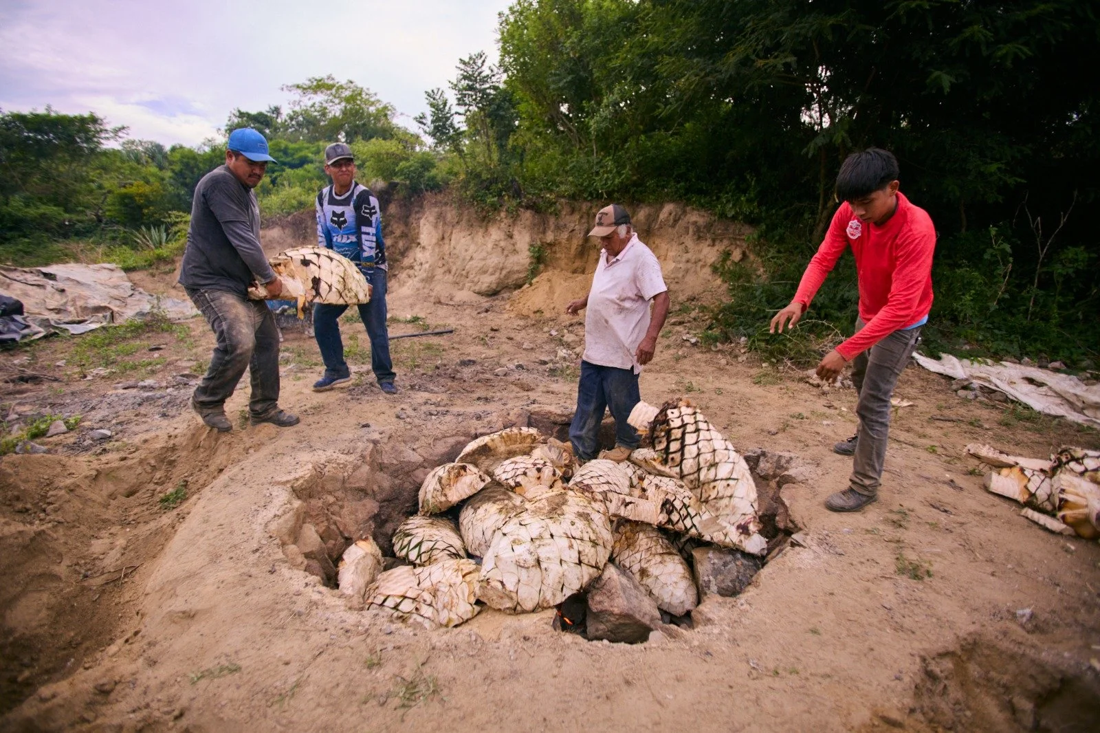 Raicilla Smugglers Film Screening and Q&A