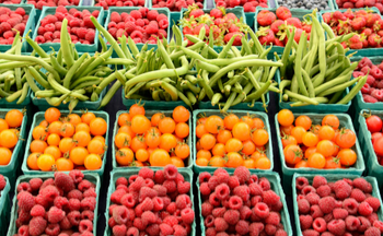 farmersmarket.png