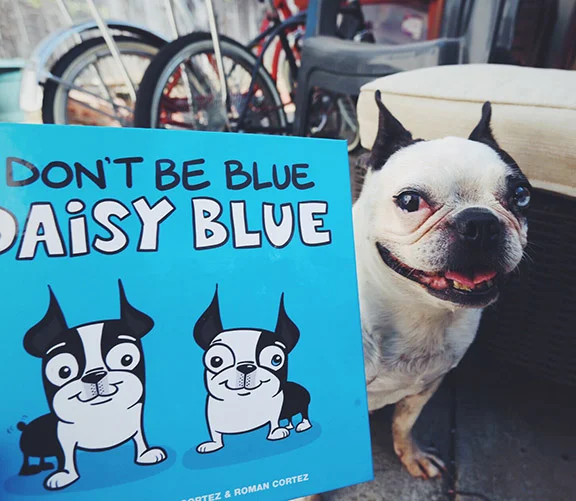 dontbebluedaisyblue3.jpg