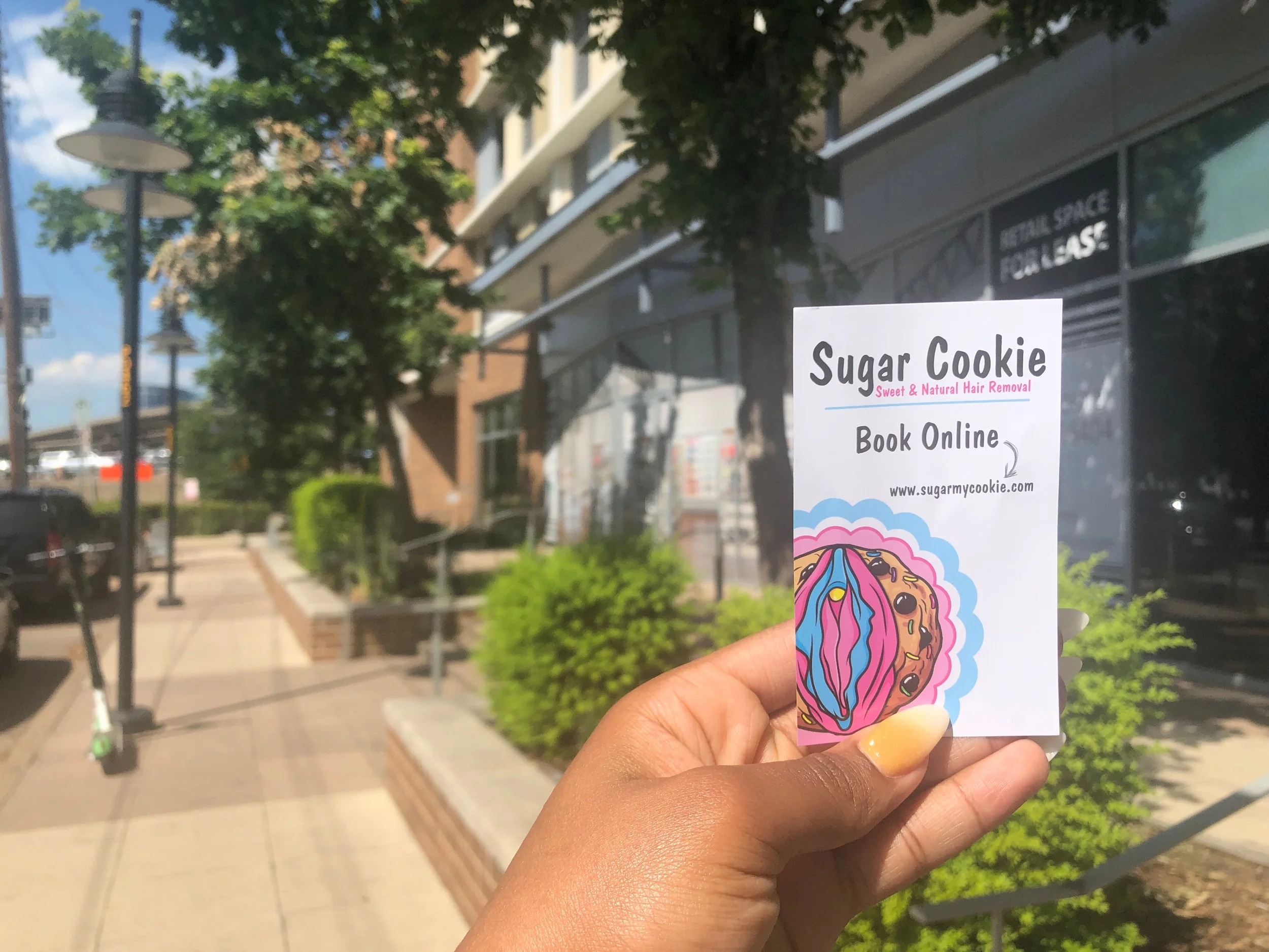 Sugar My Cookie