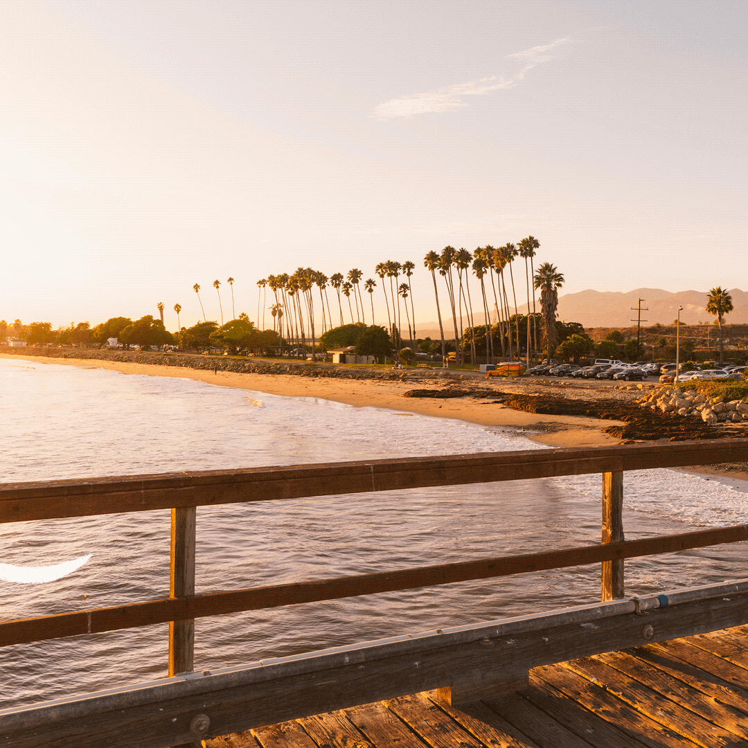 Untitled_Artwork 4.gif