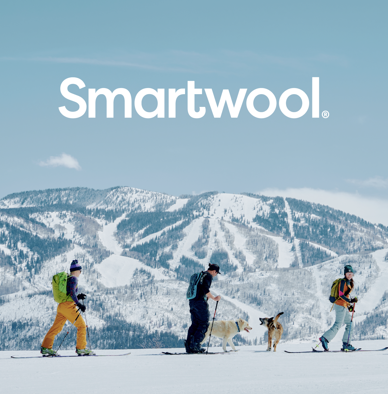 Smartwool.png