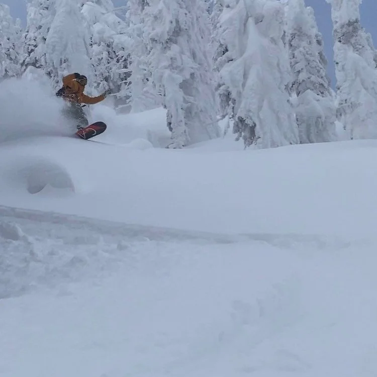 - Fun powdery backyard hike with Fluffdawg Millionaire! Also my trusty gear from @tributeboardshop ☠️
&bull;
📷 @1_800_shred -
&bull;
&bull;
🌊
&bull;
🏄&zwj;♂️
&bull;
🌊
&bull;
🏄&zwj;♂️
&bull;
🌊
&bull;
&bull;
#snowboarding #capitaneoslasher #beaut