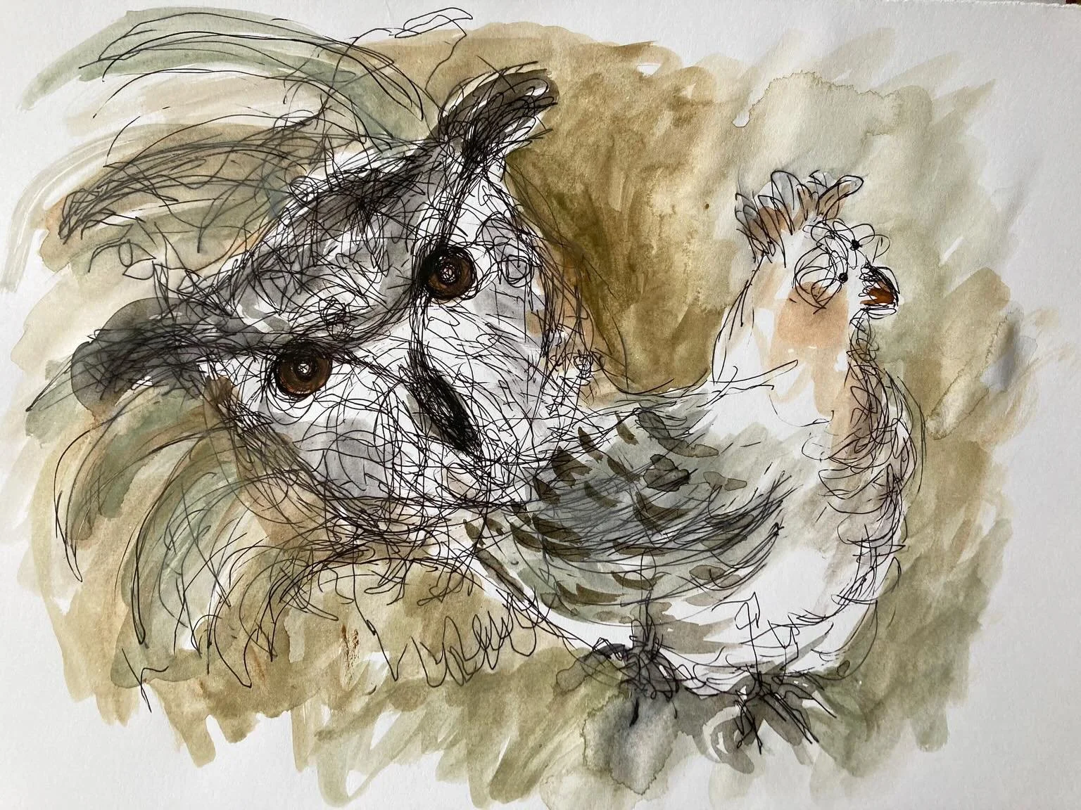 Thank you @kim.shields_ for sharing their drawing process from Monday Meditation on the 8th June. Connecting with our animals natures. This week our &lsquo;thought&rsquo; creatures.

The next live online drawing meditation on Monday 22nd June. 
The s
