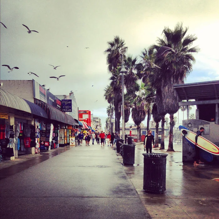 venicebeach