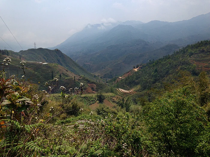 sapa8.jpg