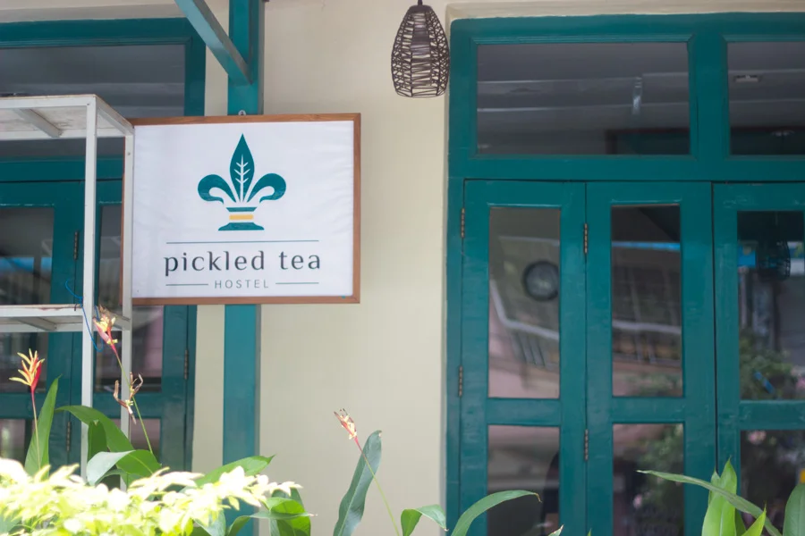pickledtea-11.jpg