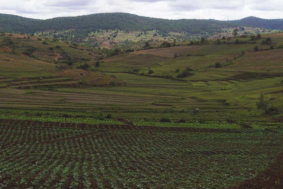 myanmar-134.jpg