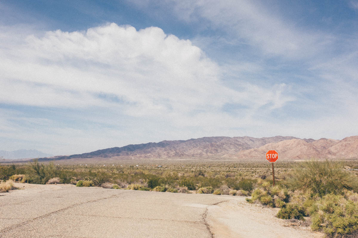 joshuatree-18.jpg
