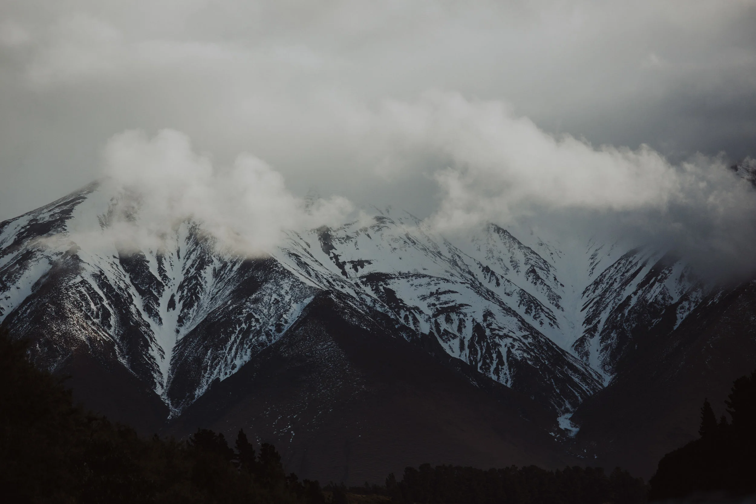 ElizaJadePhotography-6.jpg