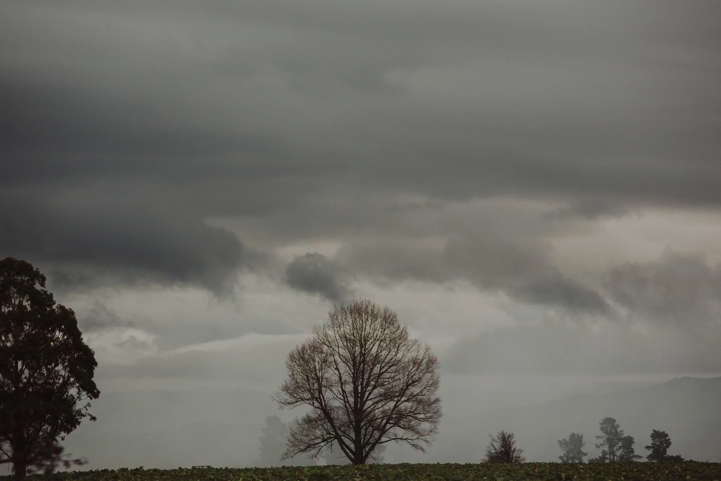 ElizaJadePhotography-14.jpg