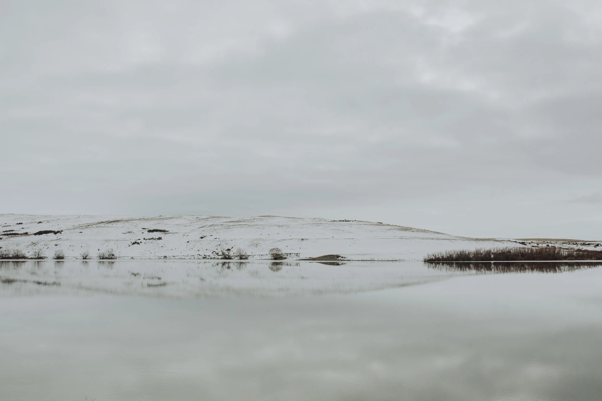 ElizaJadePhotography-3.jpg