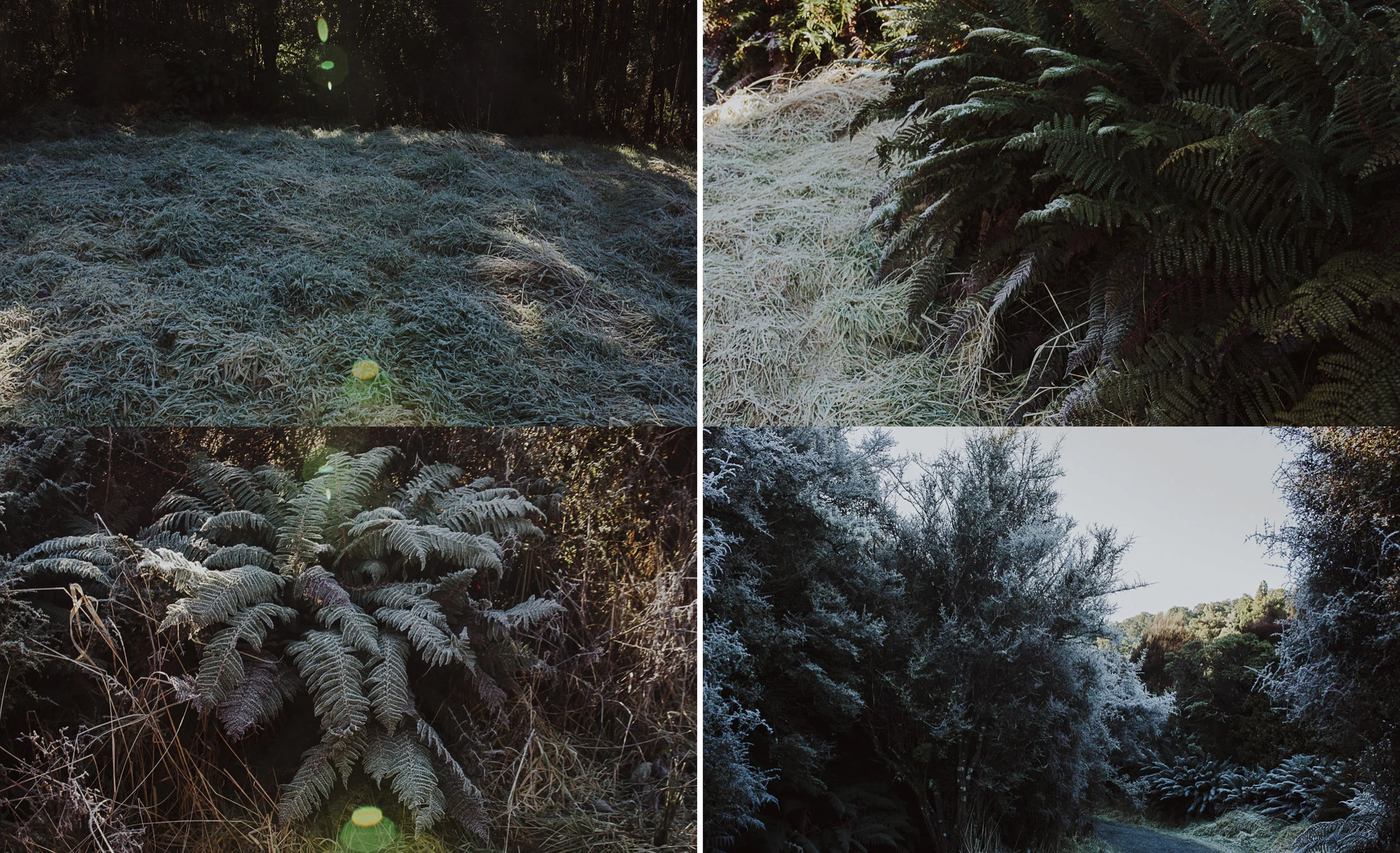 ElizaJadePhotography-2.jpg