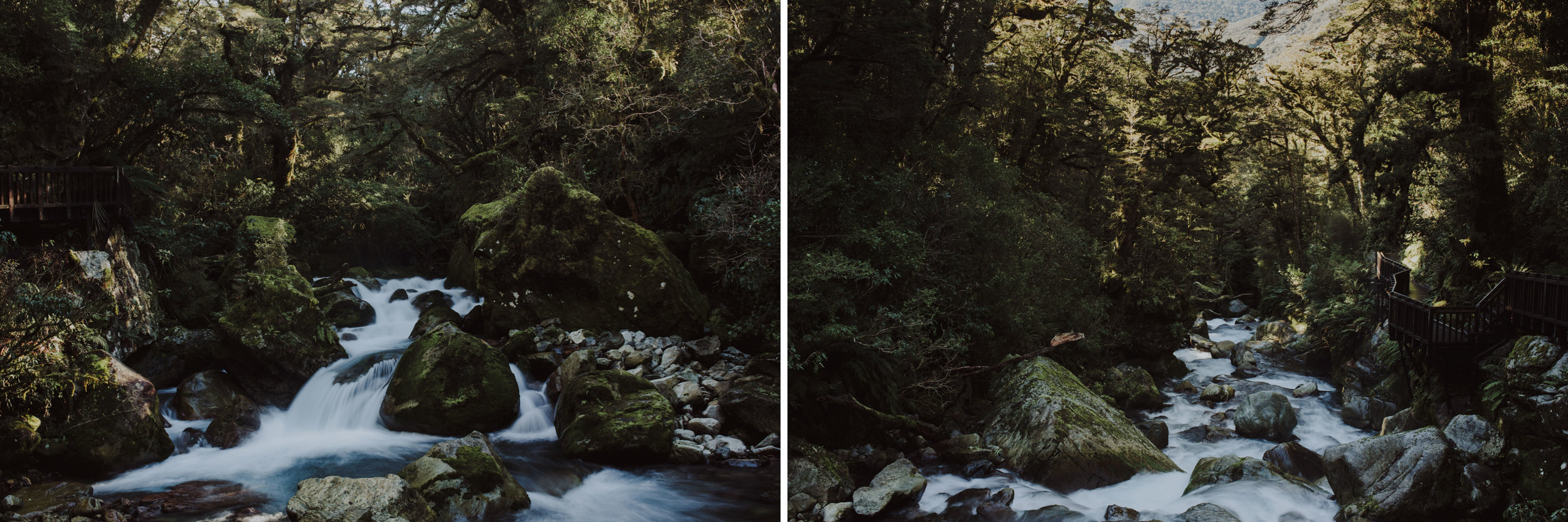 ElizaJadePhotography-5.jpg