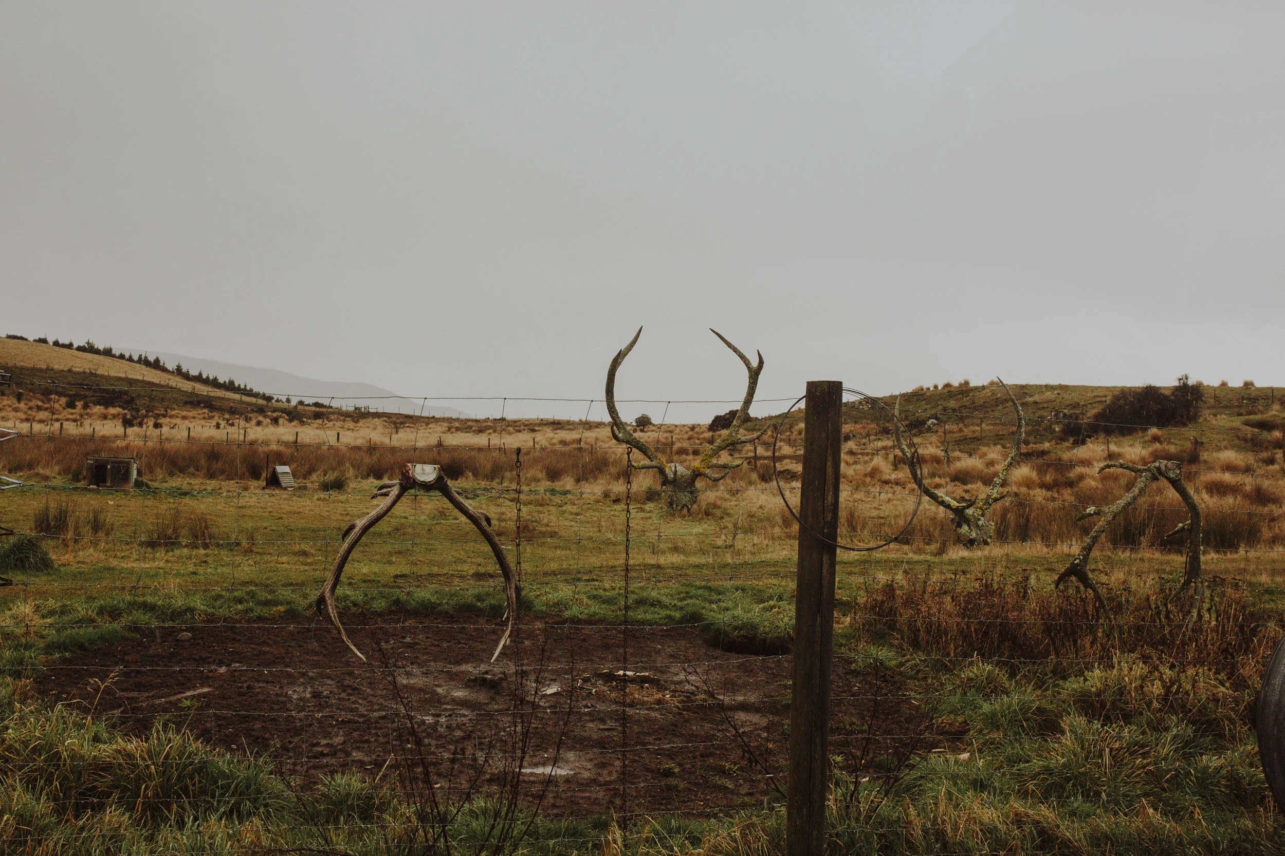 ElizaJadePhotography-5.jpg