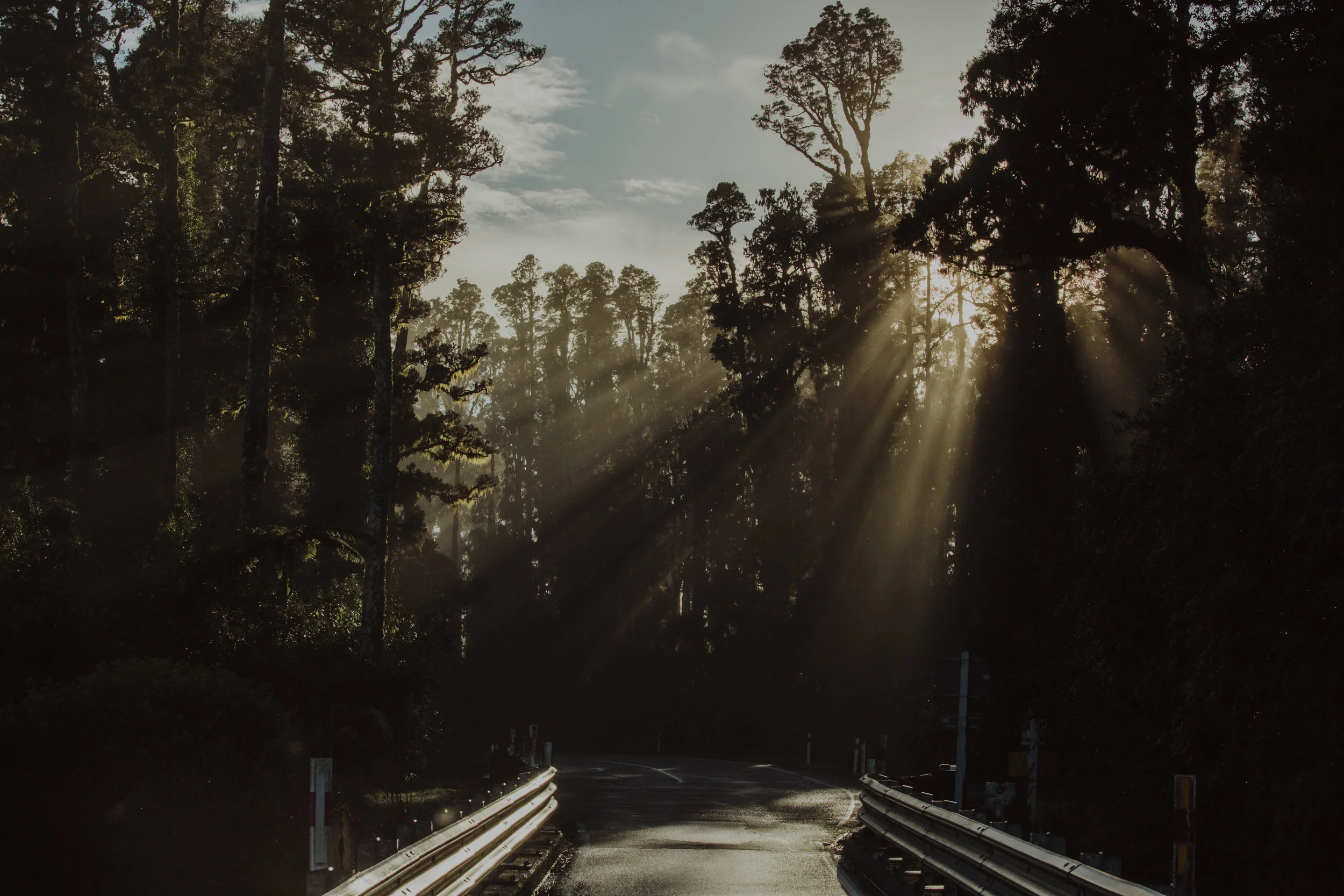ElizaJadePhotography-1.jpg