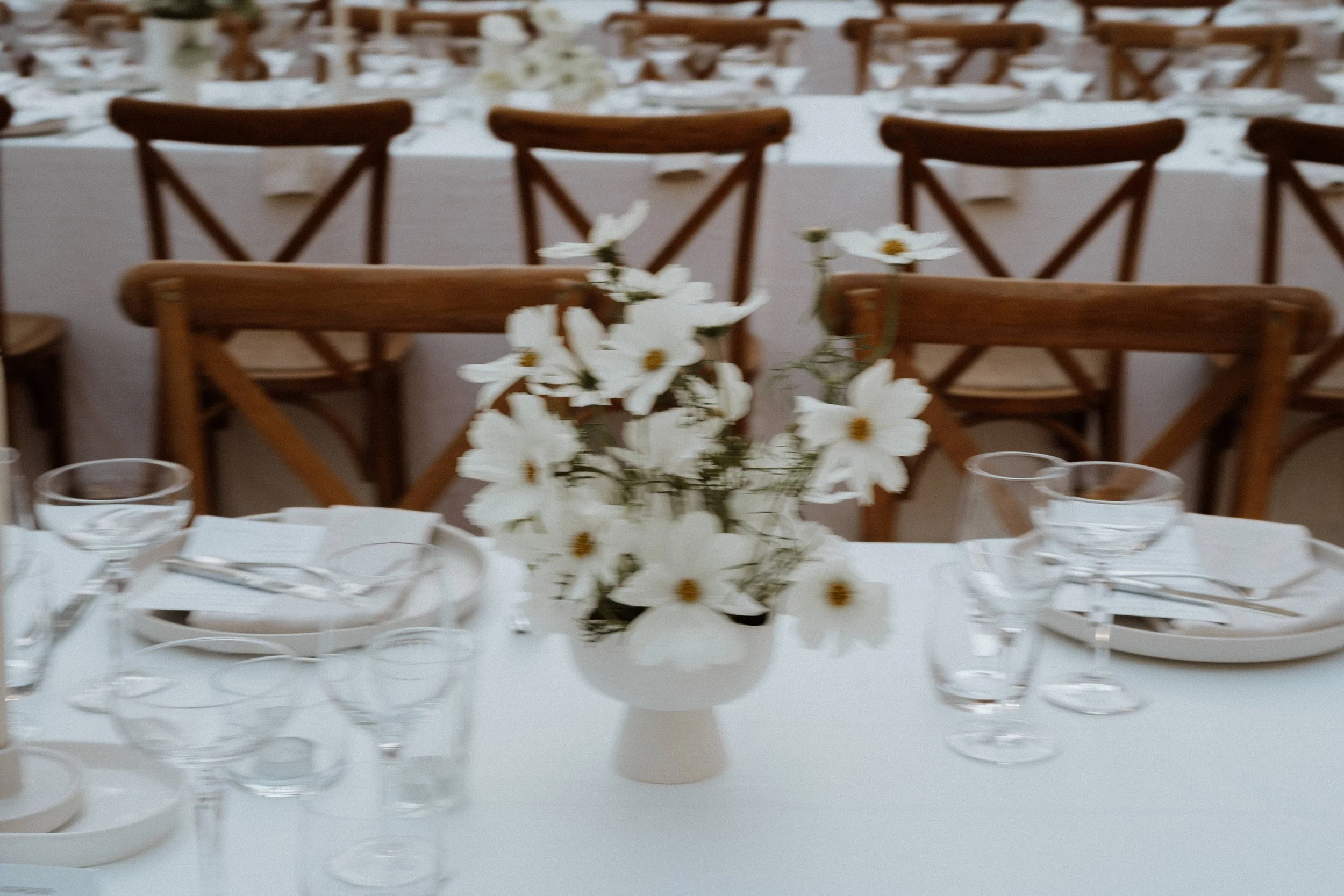 ElizaJadePhotography_MossVale_WeddingsInTheWilde_SouthCoast_Wedding_Jess&James-723.jpg