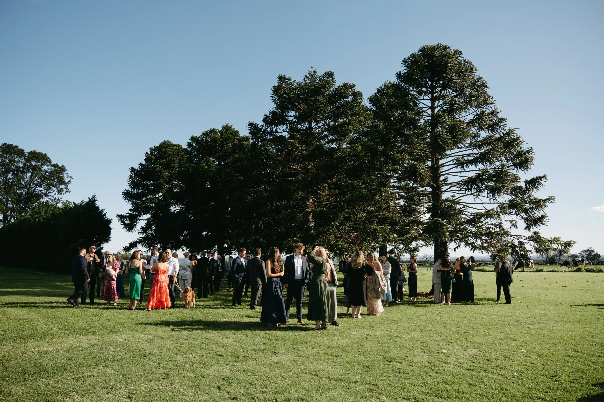 ElizaJadePhotography_SouthCoast_TheMerribee_Wedding_Kate&Pat-131.jpg