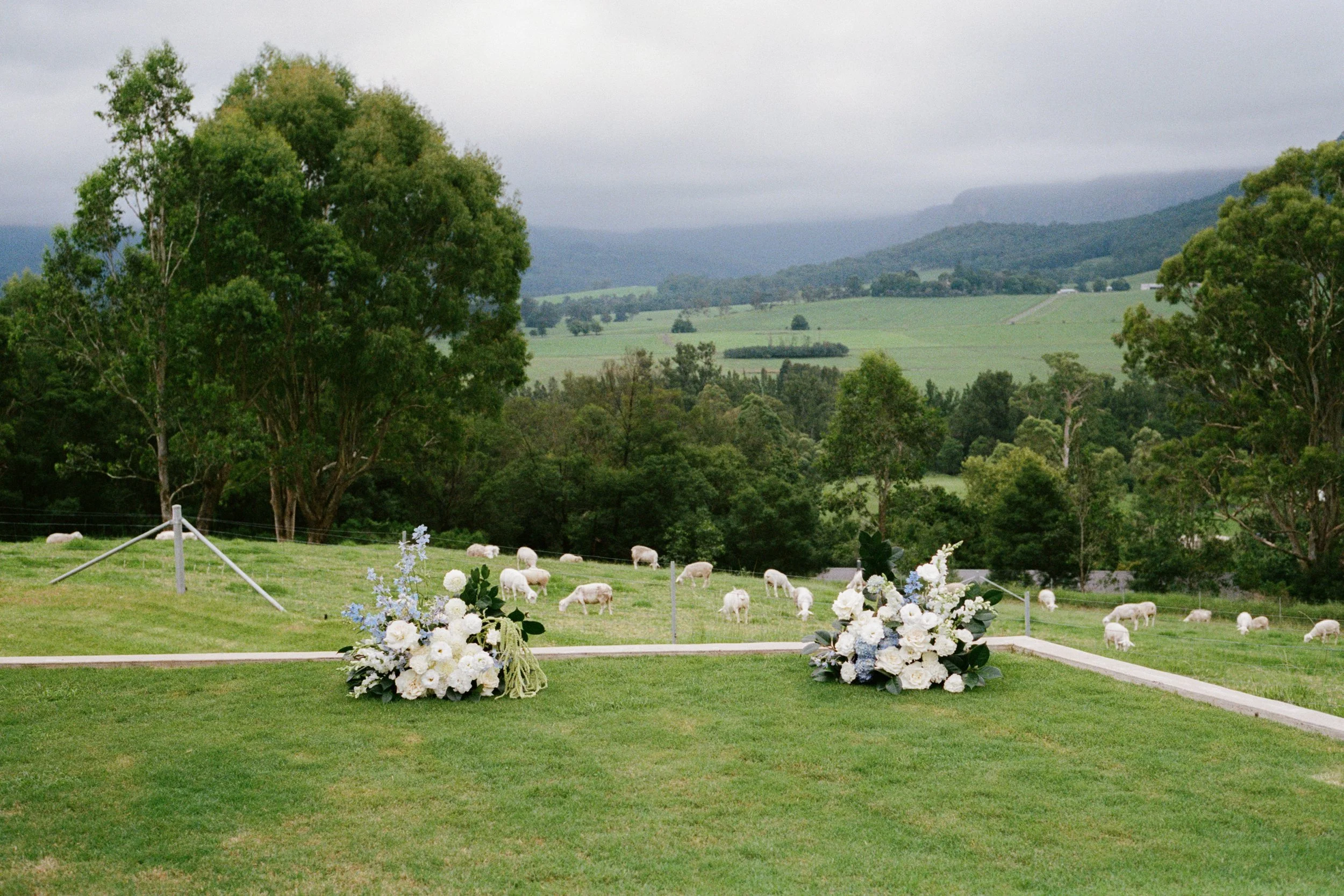 ElizaJadePhotography_SouthernHighlands_Elopement_KangarooValley_Wedding_Cass&Sam_FILM-1.jpg