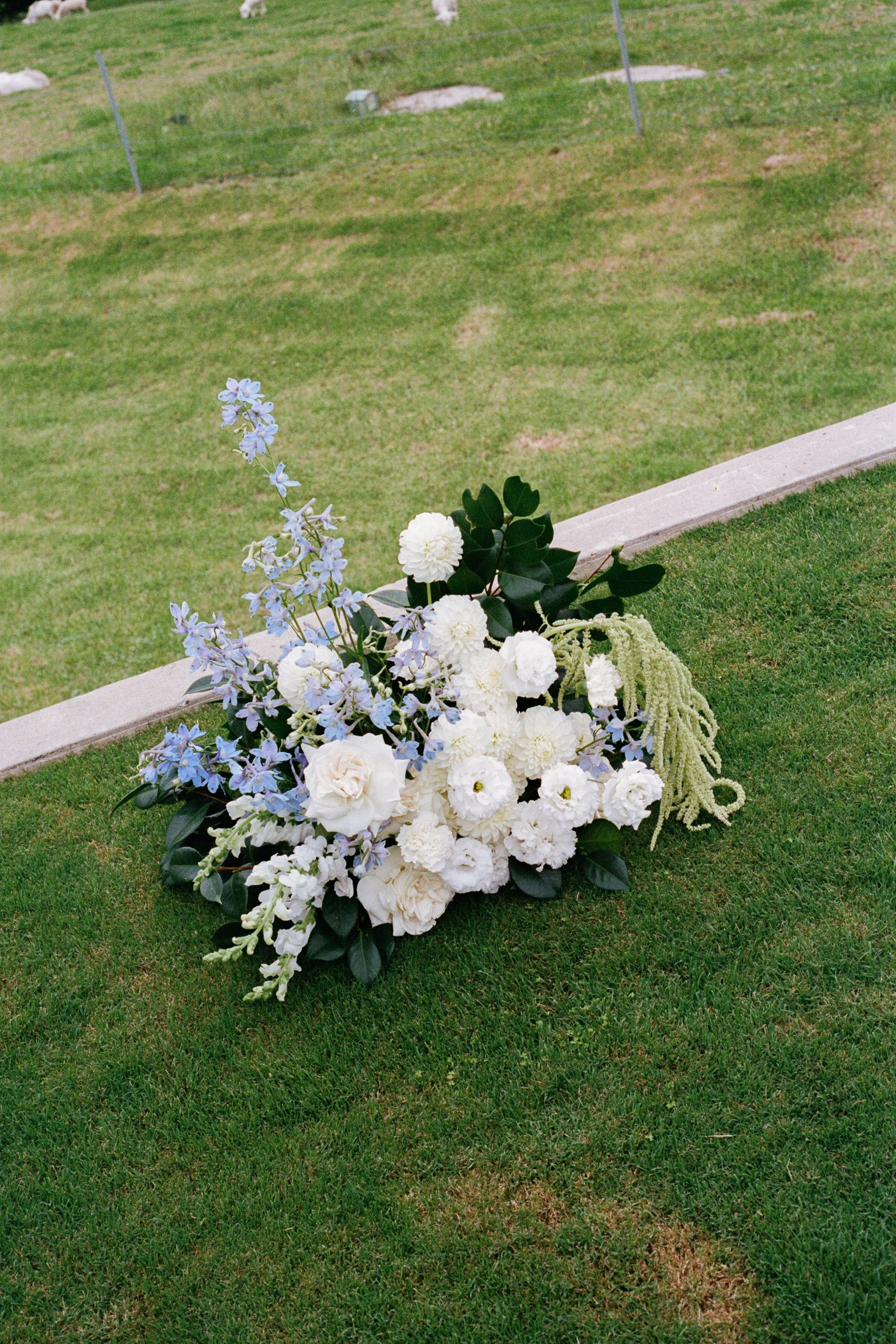 ElizaJadePhotography_SouthernHighlands_Elopement_KangarooValley_Wedding_Cass&Sam_FILM-2.jpg