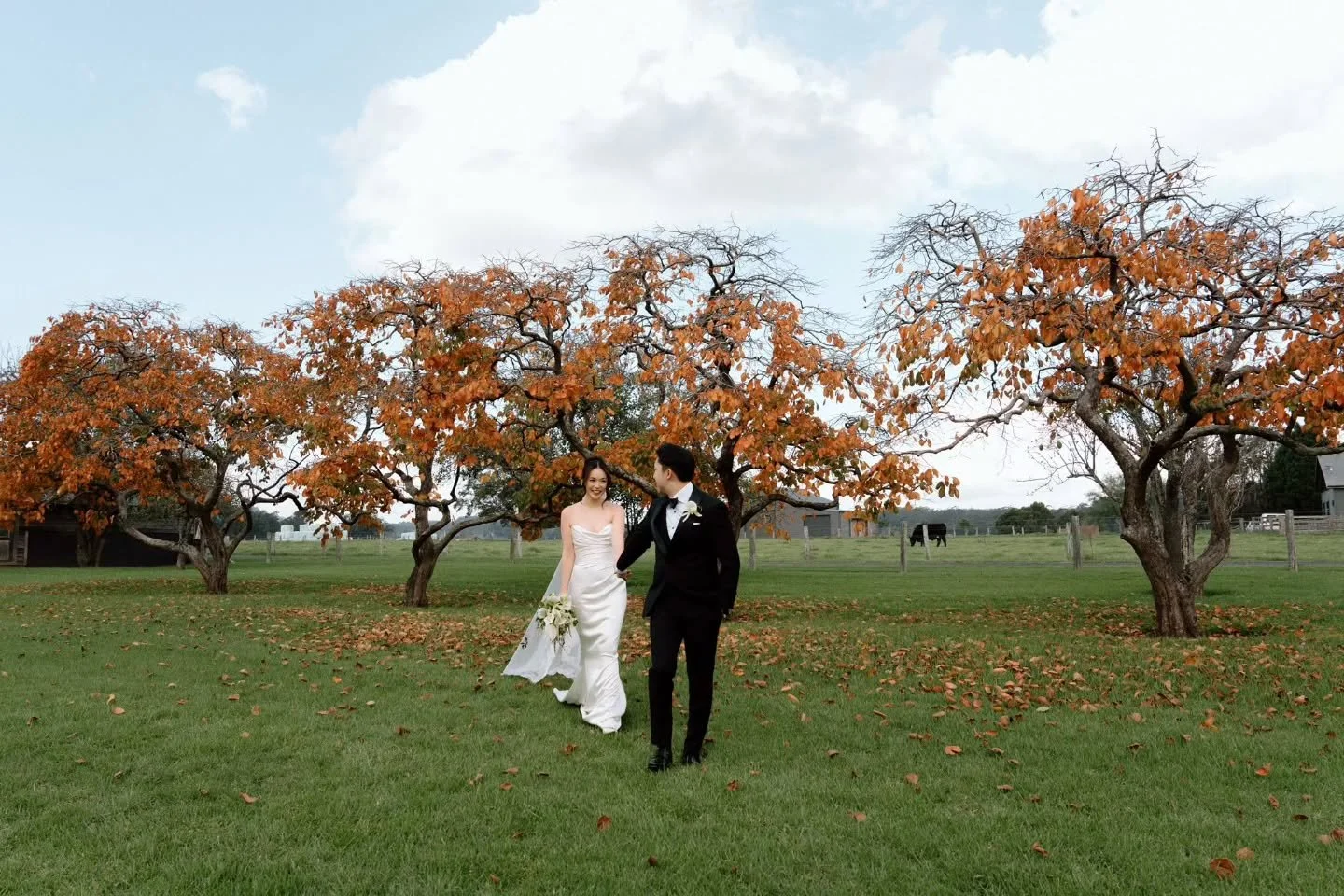 Just some of the gorgeous locations you can find at @willowfarm_berry in Autumn 🍁 🍂 It's so dreamy at this time of year.

Bride &mdash; @jessicantam
Groom &mdash; @stefanbystefanng
Venue &mdash; @willowfarm_berry
Catering &mdash; @clockwork_caterin