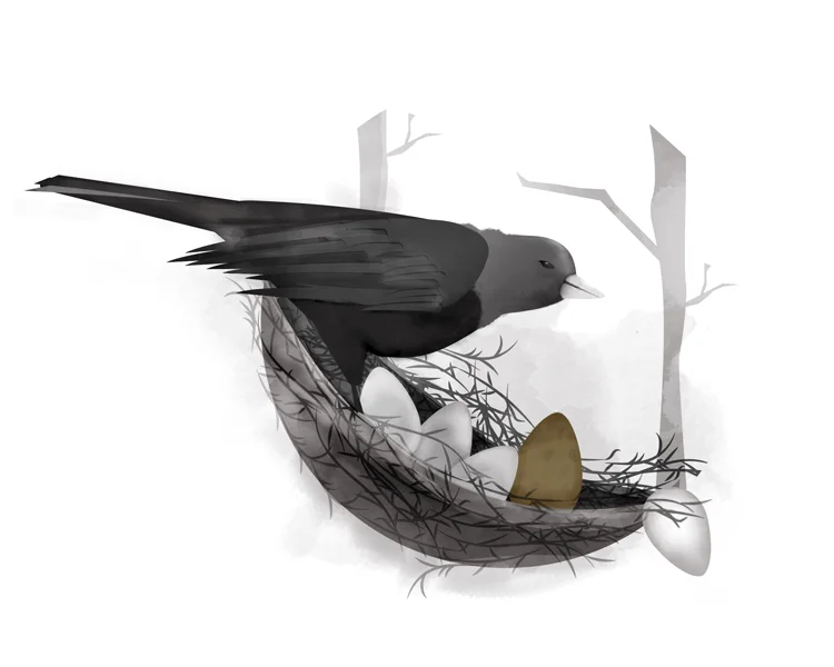 cowbird-750x600.jpg