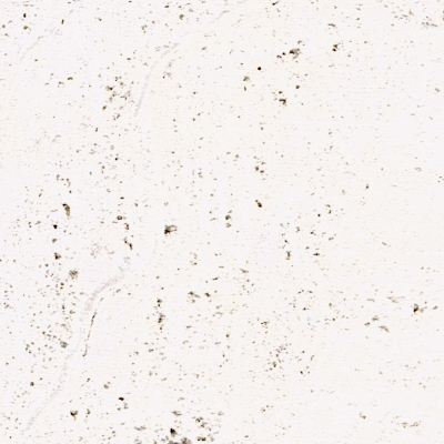 Bianca-Vein-Cut-copy-31su97r72ab9oguosderk0.png