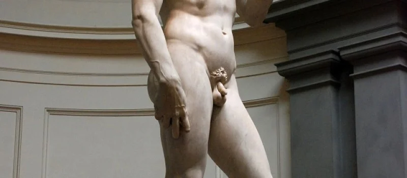 David-michaelangelo-31jkd2l0fdaex4egjjssu8.jpg