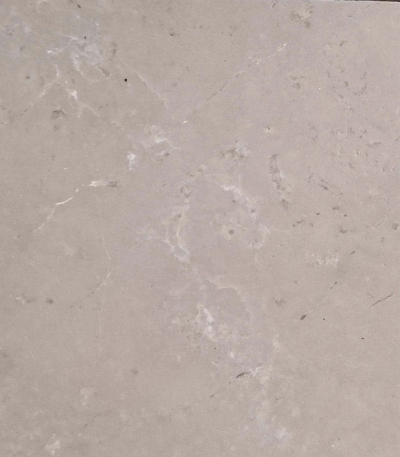 Champagne Grey 2.jpg