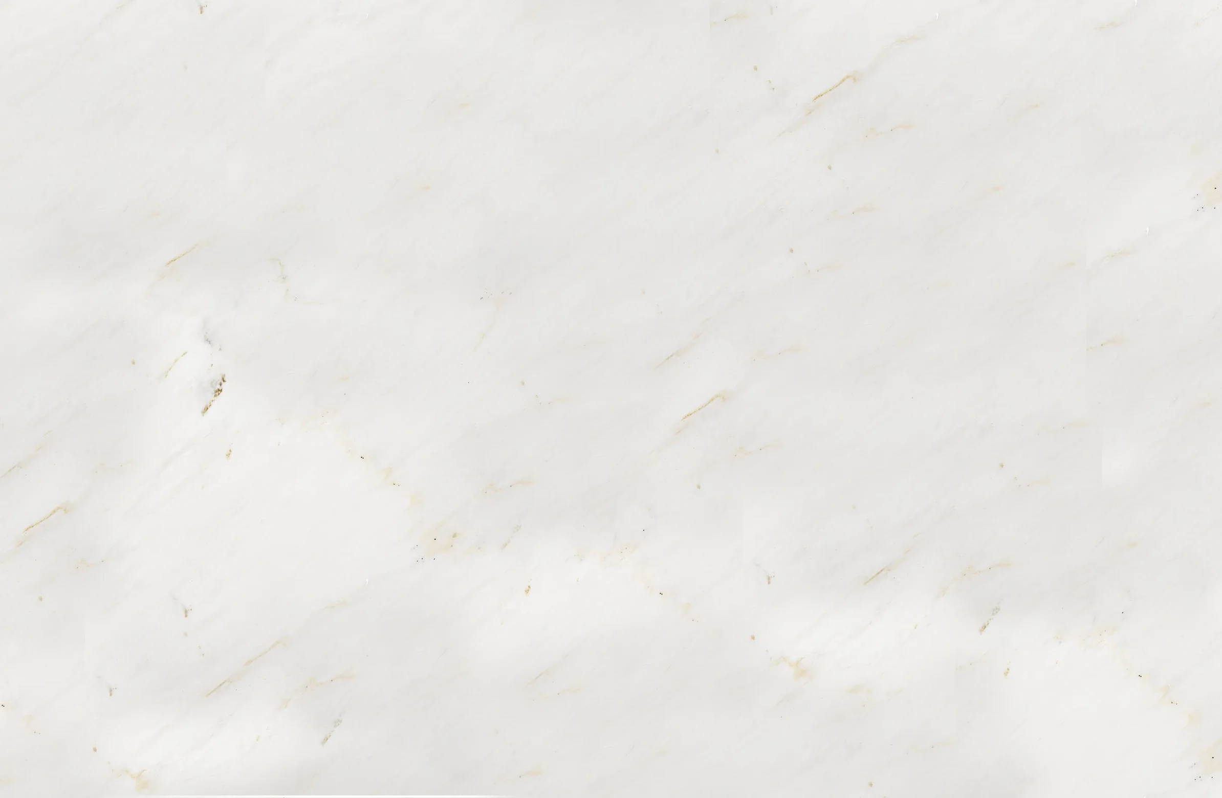 Cremo Delicato.jpg