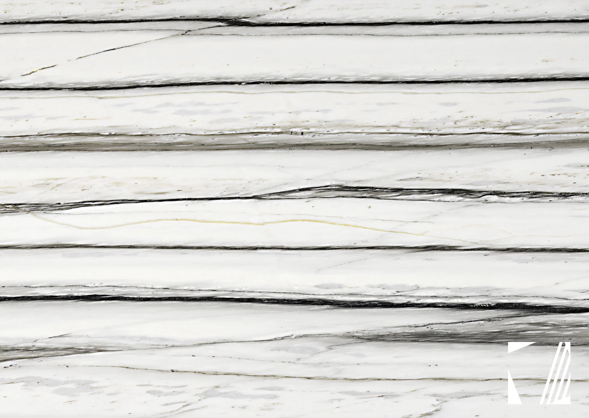 Zebrino wide vein.jpg