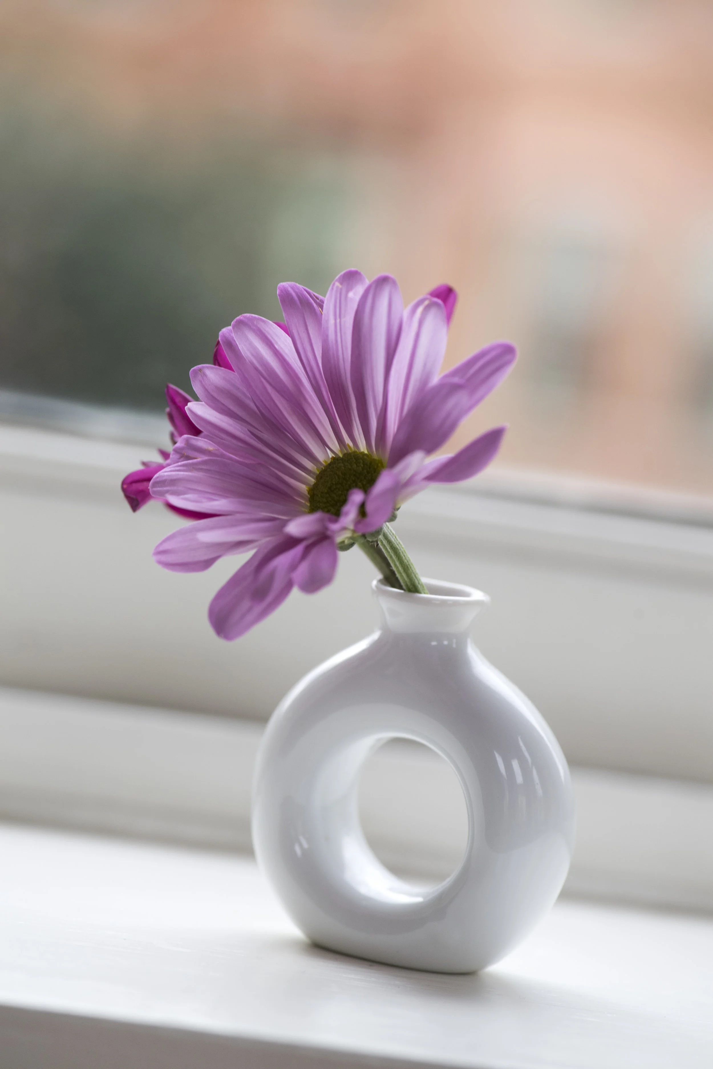 Flower Vase.jpg