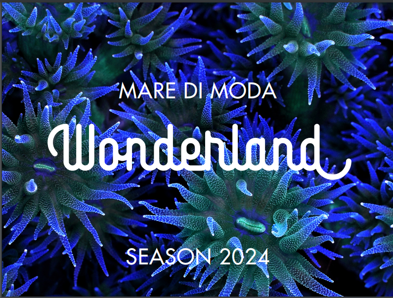 Wonderland 2024.PNG