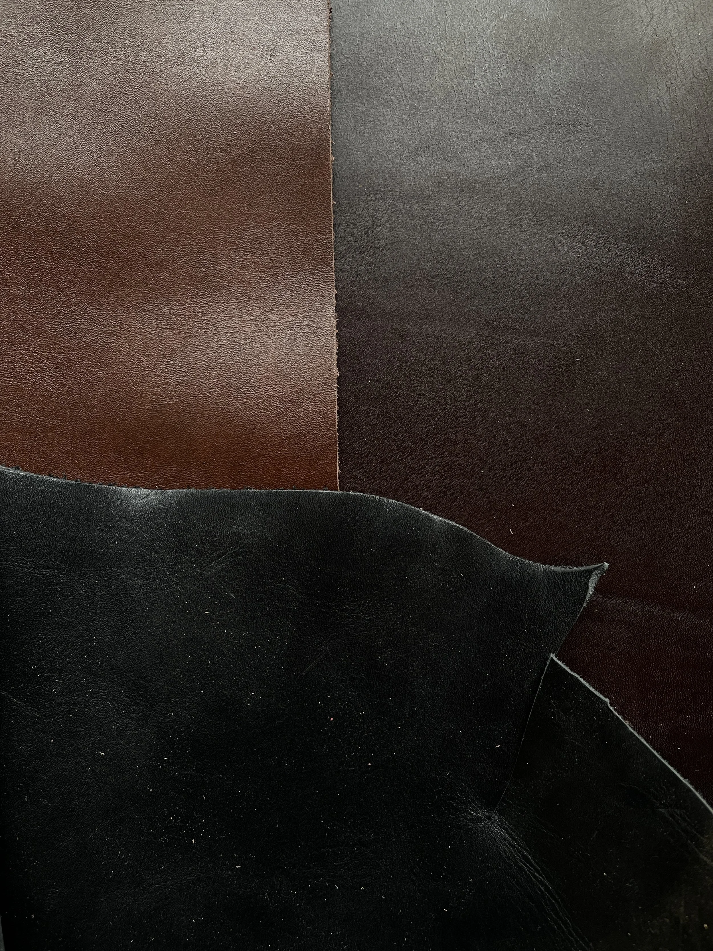 Resteskinn frå Aurlands