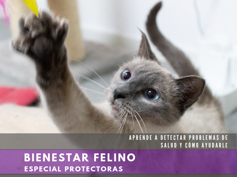 EVENTOS_princ_CURSOS-2lin.png