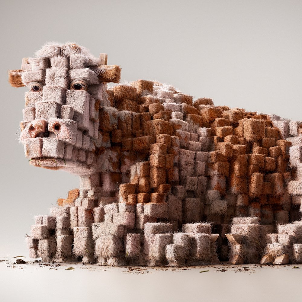 动物 - ILLUSION CGI STUDIO