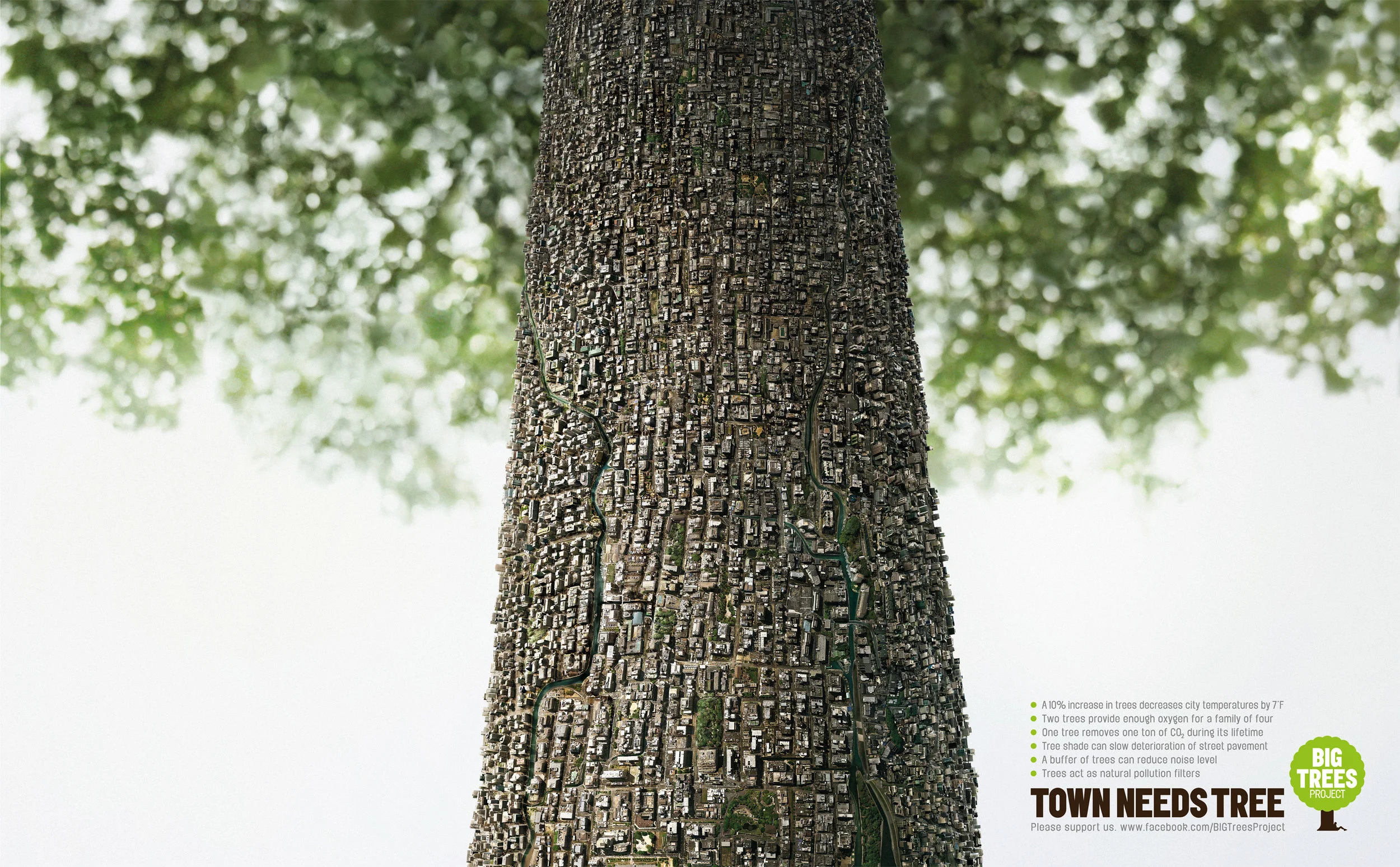 Town_Need_Tree_Step.jpg
