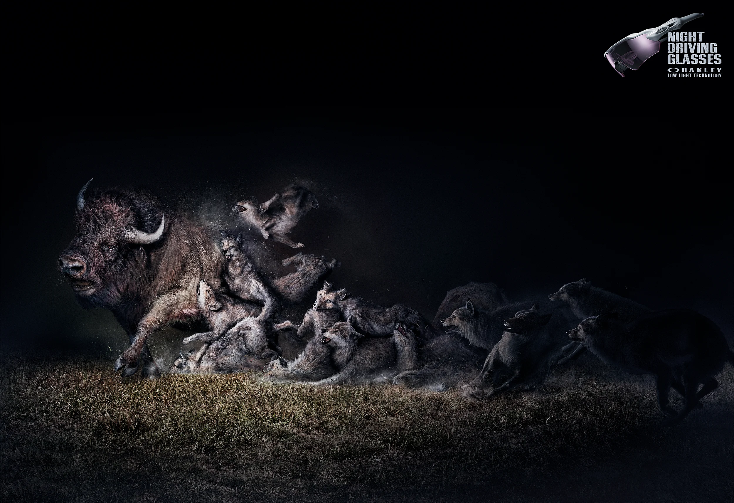 B_Bull VS Wolves_20_Srgb.jpg