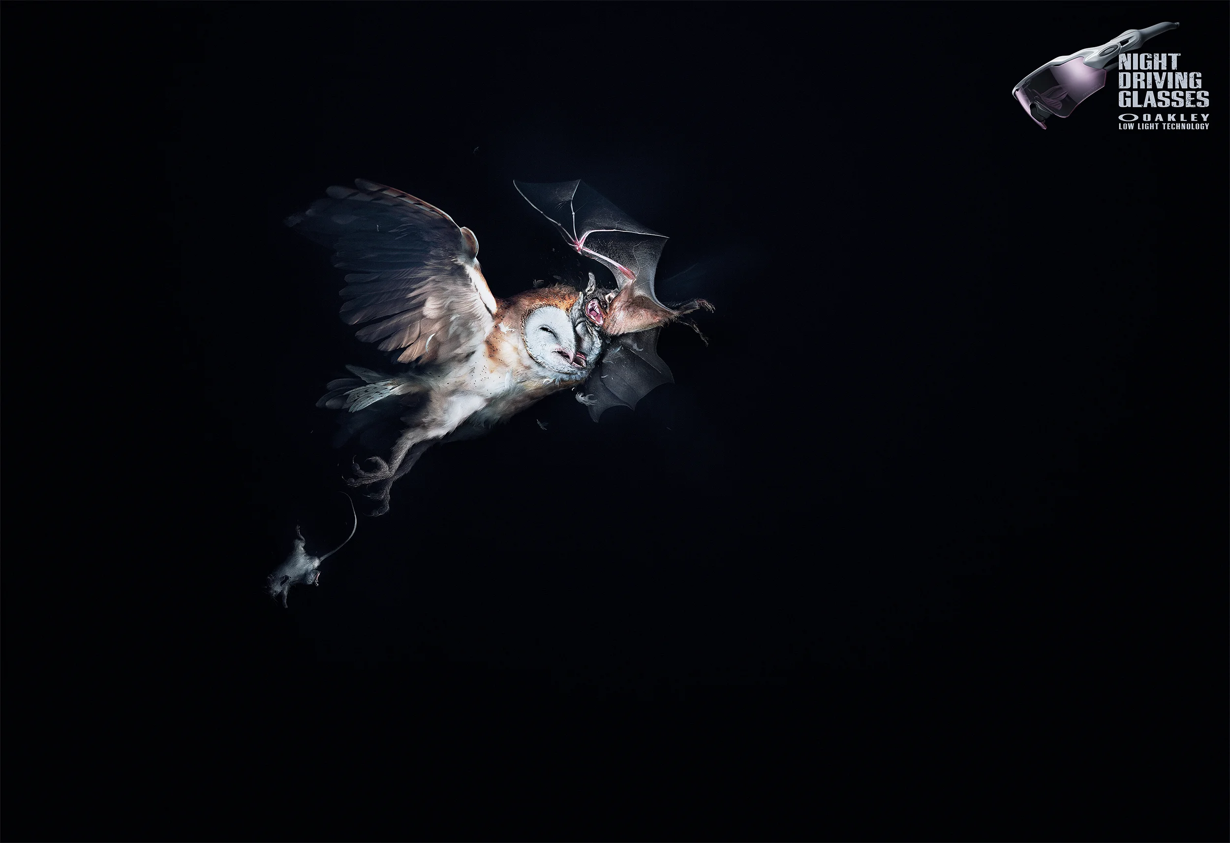 A_Owl VS Bat_18_Srgb.jpg