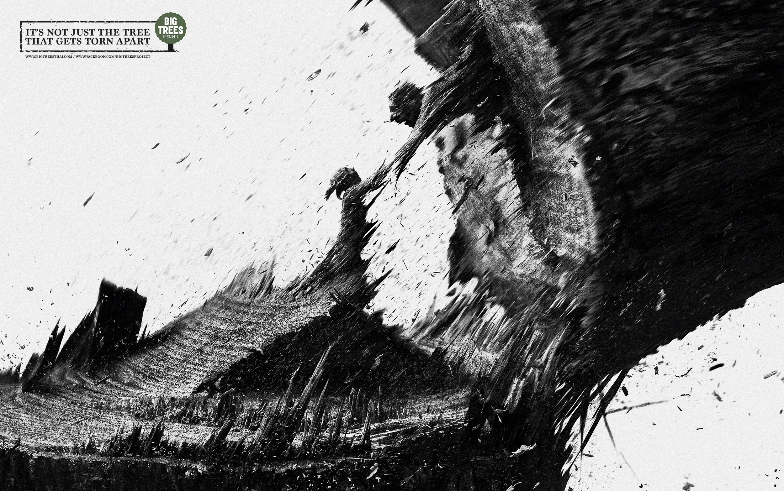 Flood_AW_Srgb.jpg