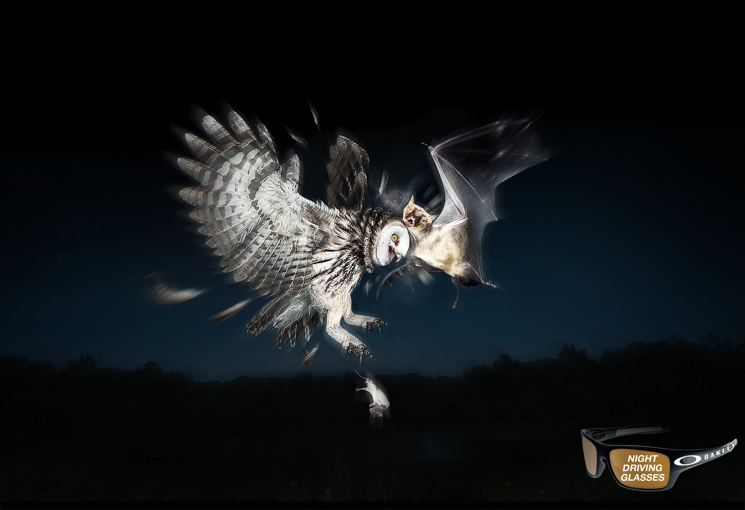 A_Owl VS Bat_18_Layout_Srgb2500.jpg