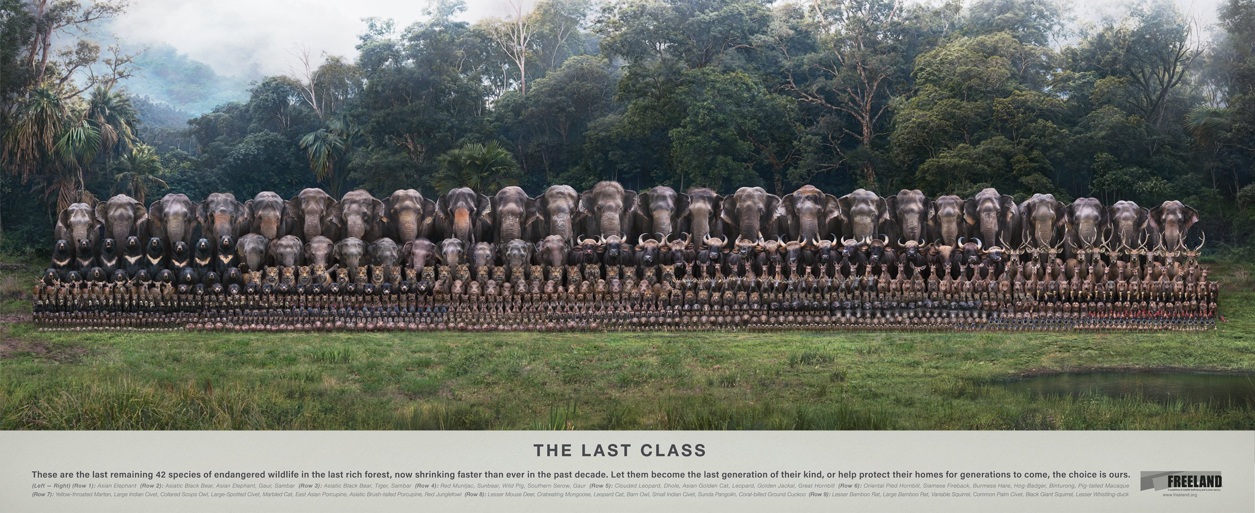 The Last Class - ILLUSION CGI STUDIO