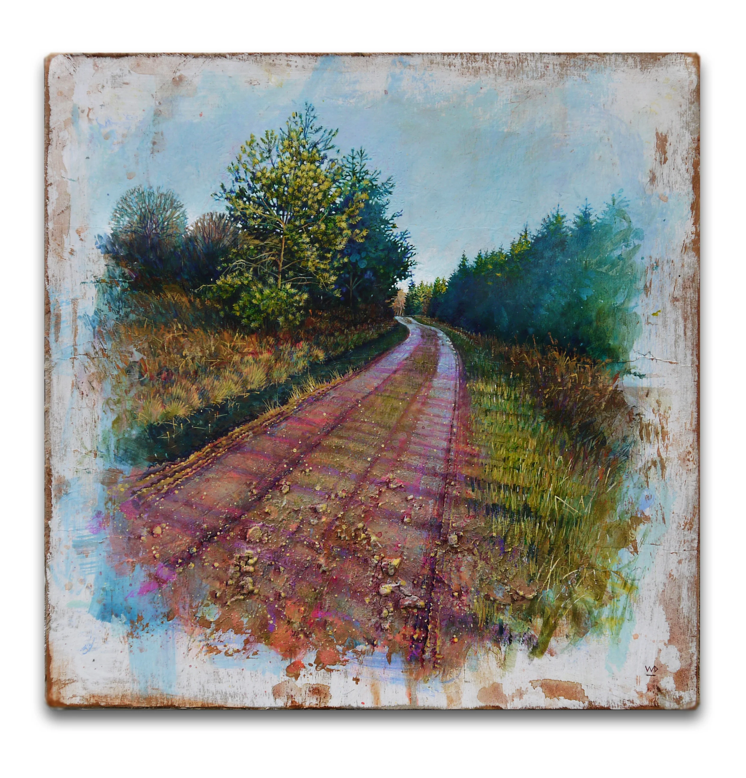 Winter morning trail.jpg